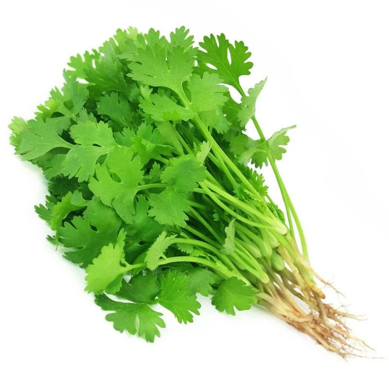 Coriander Leaves (धनिया पत्ती) 100gm