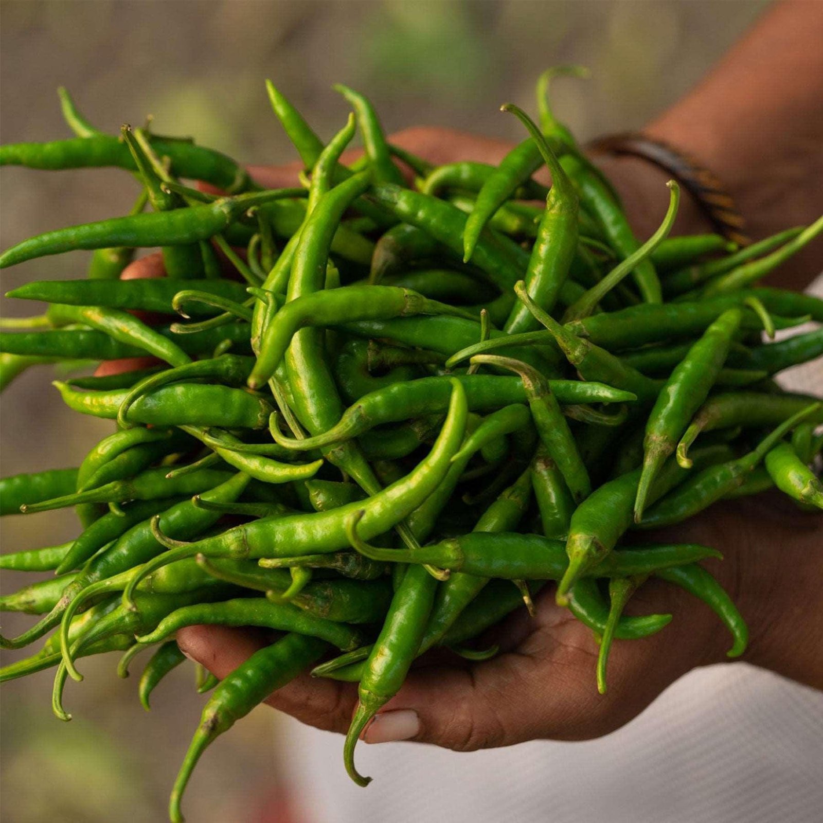 Chilli Green (हरी मिर्च) 250gm