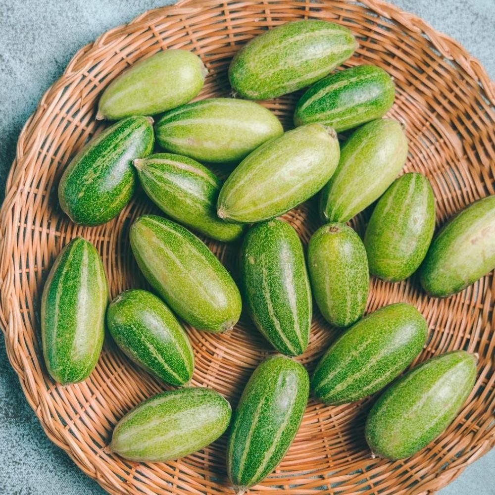 Pointed Gourd (परवल)