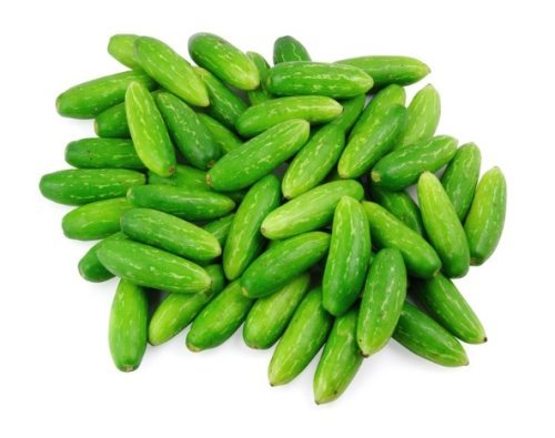 Ivy Gourd  (कुंदरू)